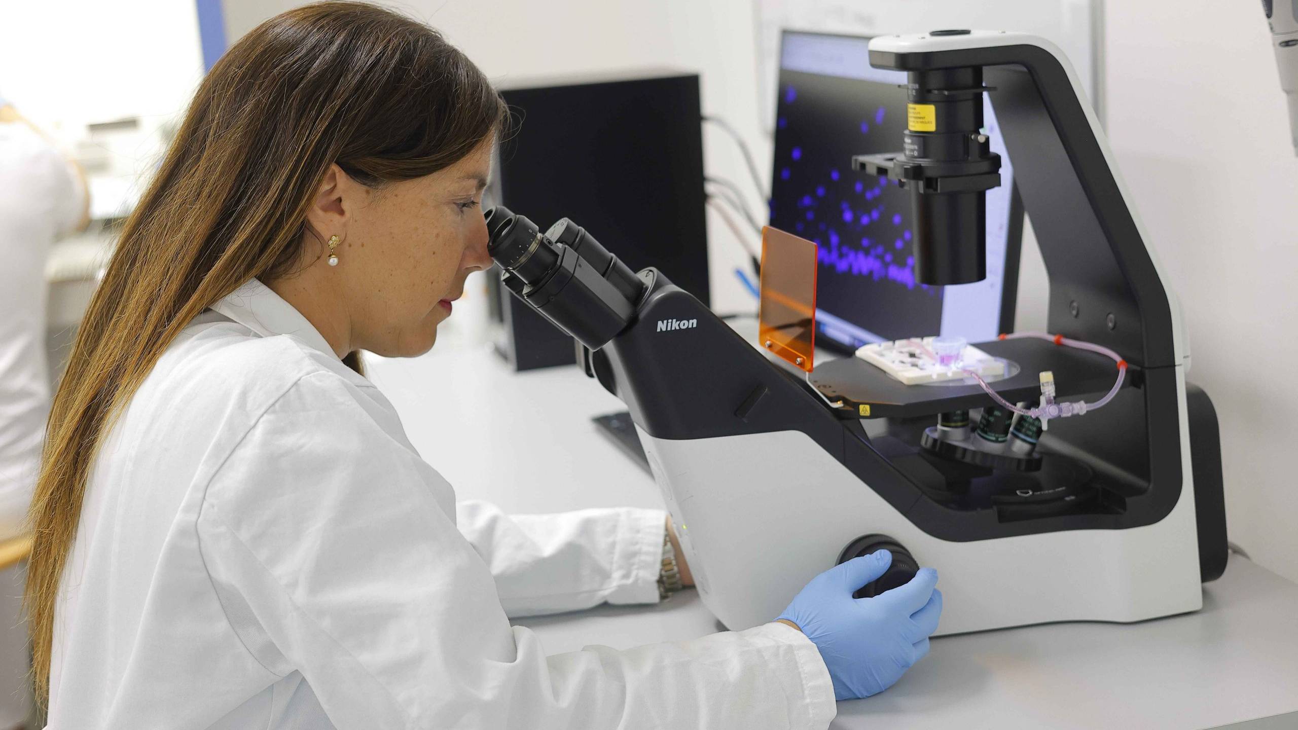 optically transparent