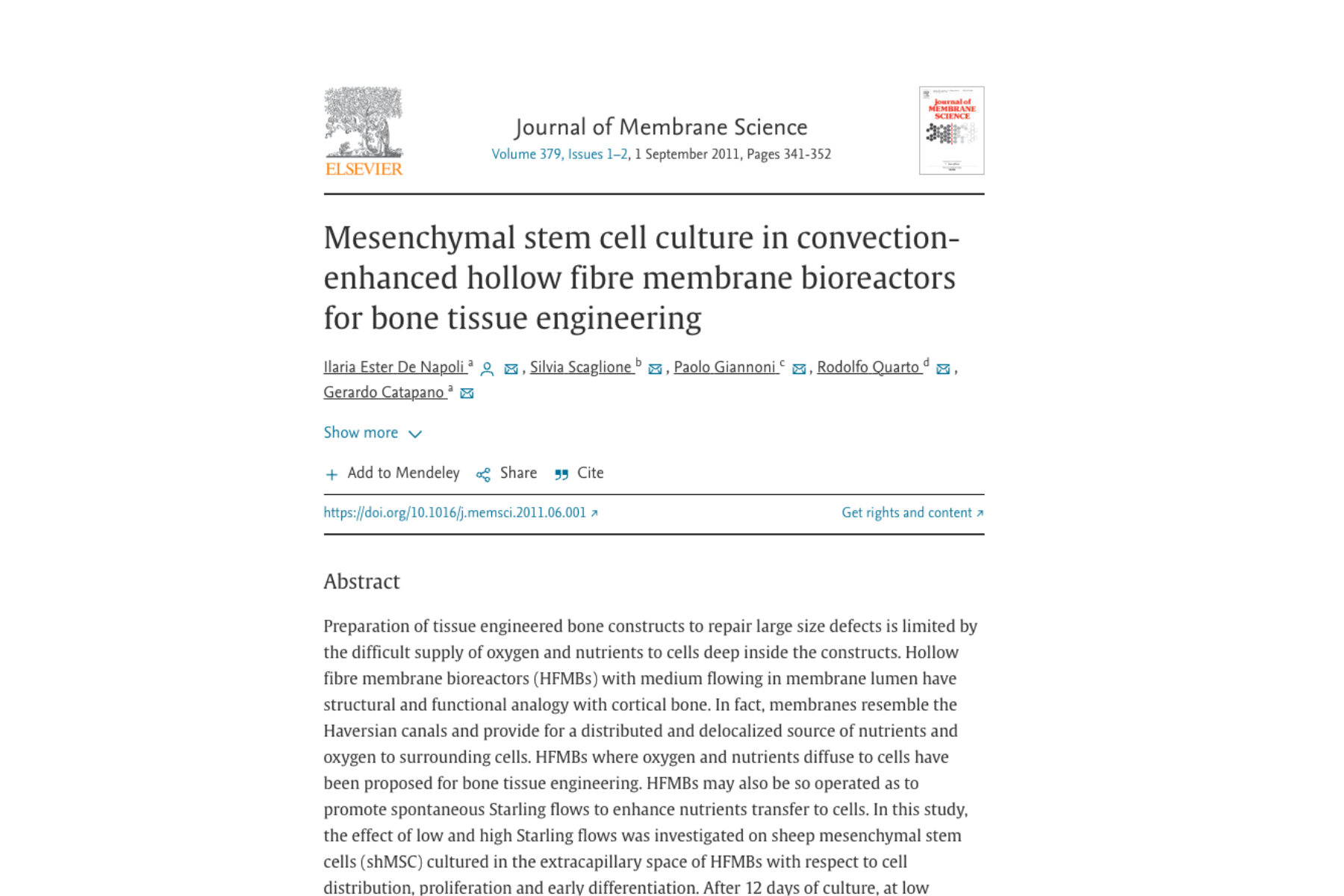 Mesenchymal stem cell