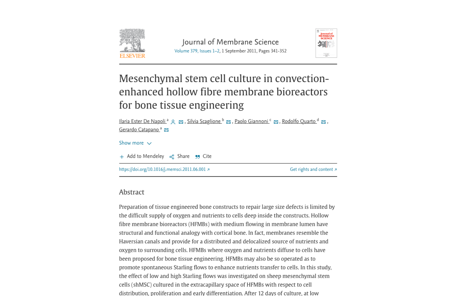 Mesenchymal stem cell