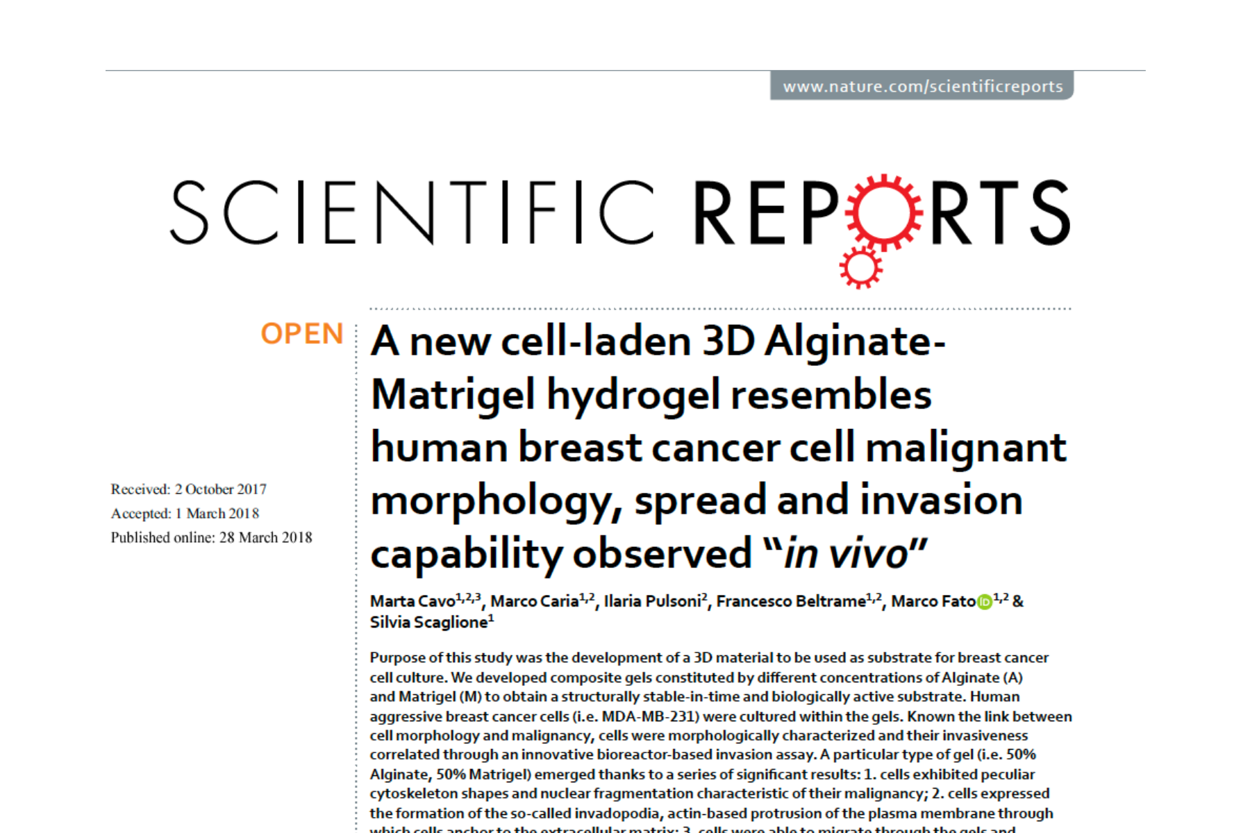 New cell laden alginate