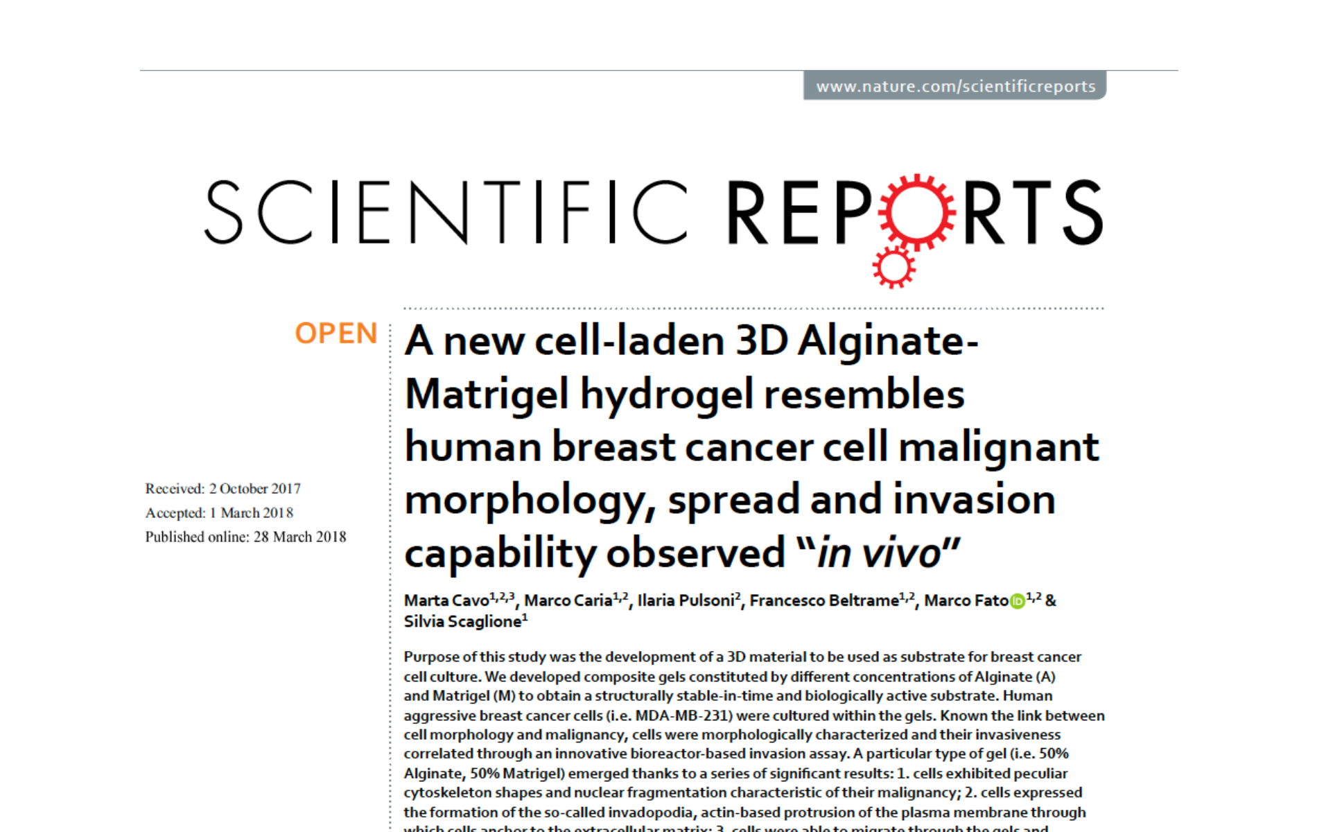 New cell laden alginate