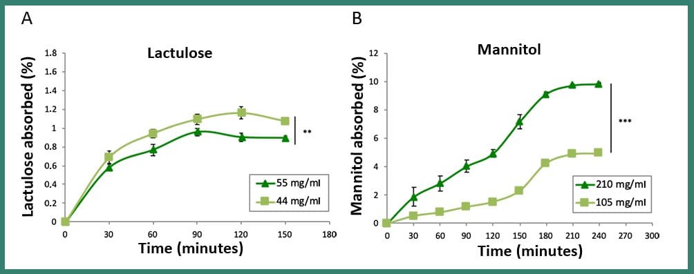 intestinal permeability