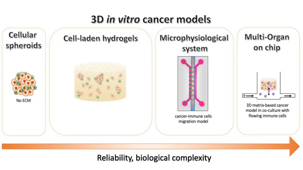 R4L-3DcancerModels