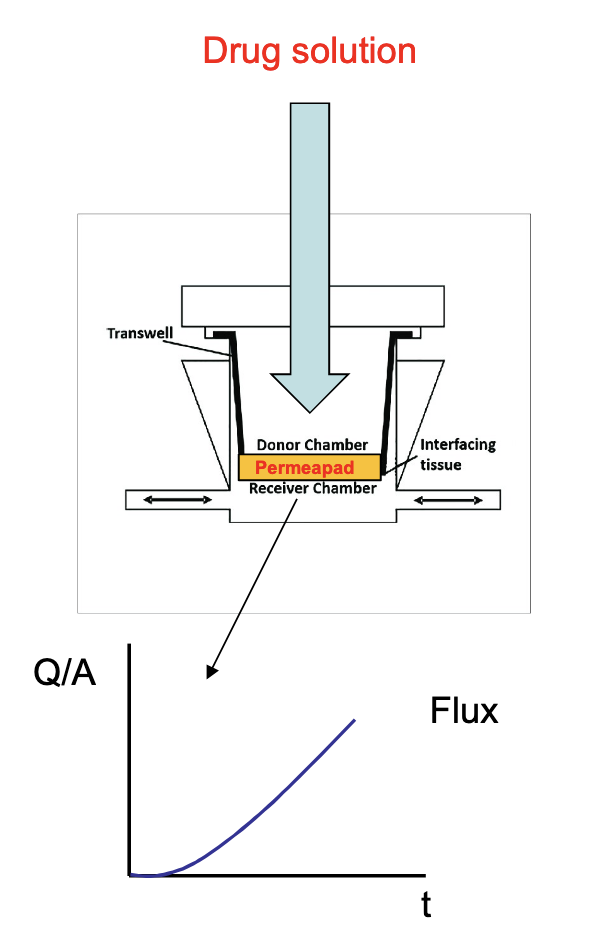 r4l-mivoMembrane