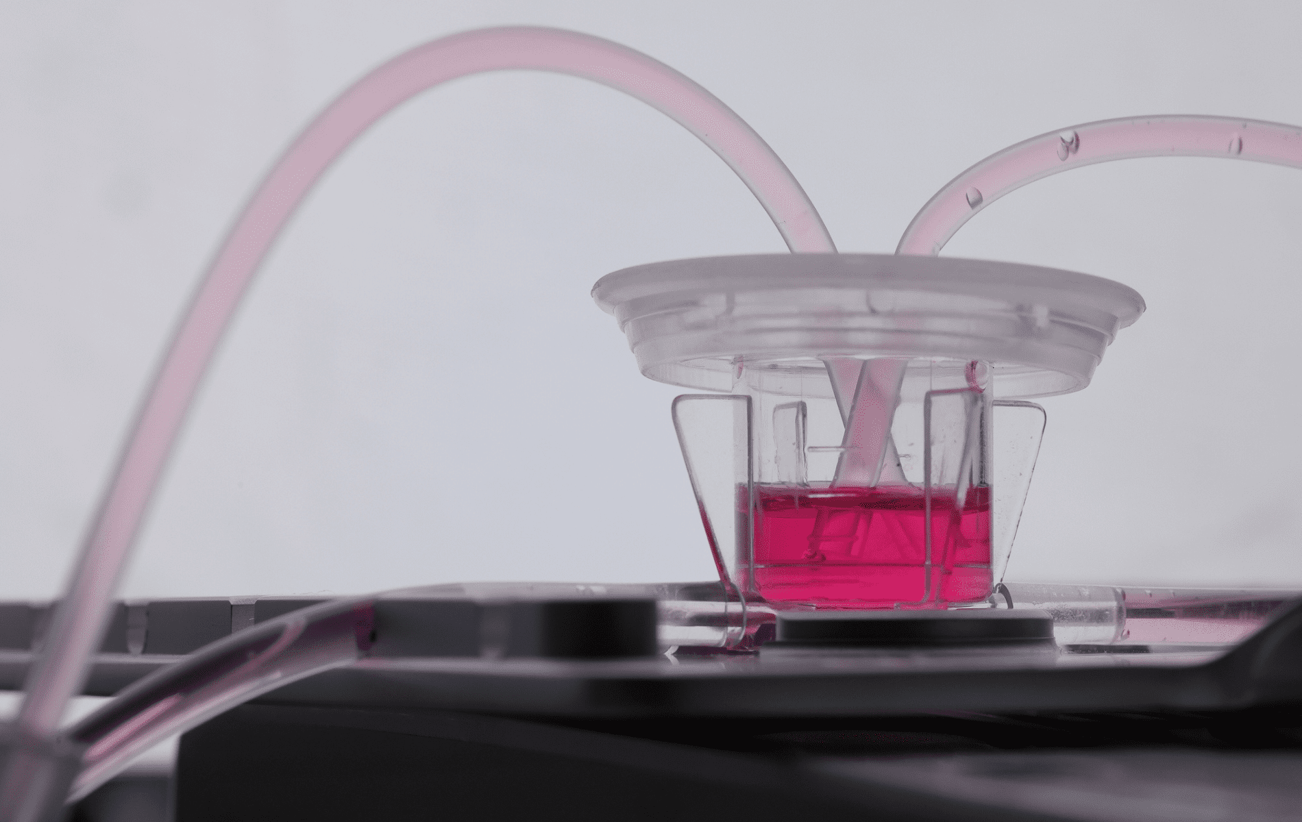 MIVO® Tecnology ORGAN-ON-CHIP