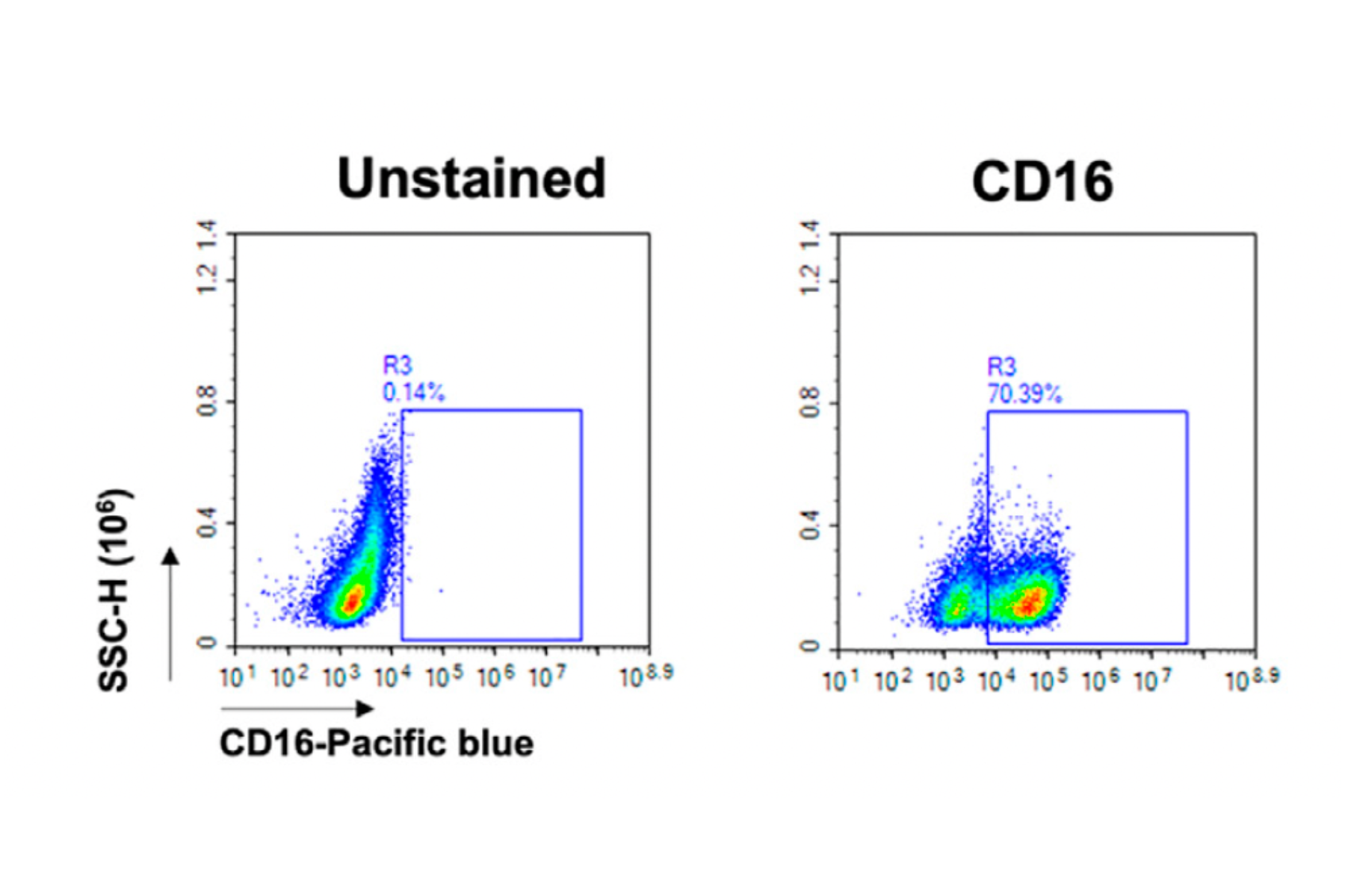 Immune Response