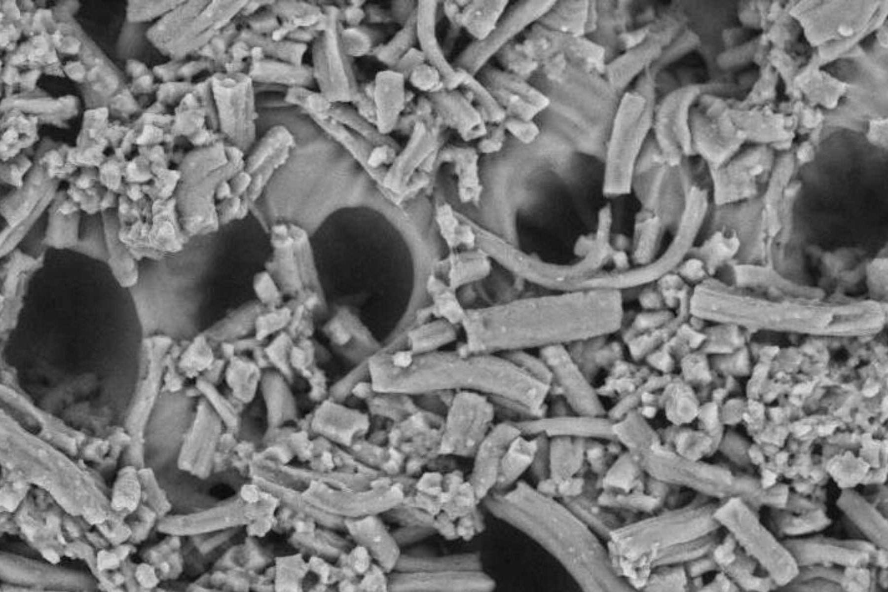 Biomimetic membrane