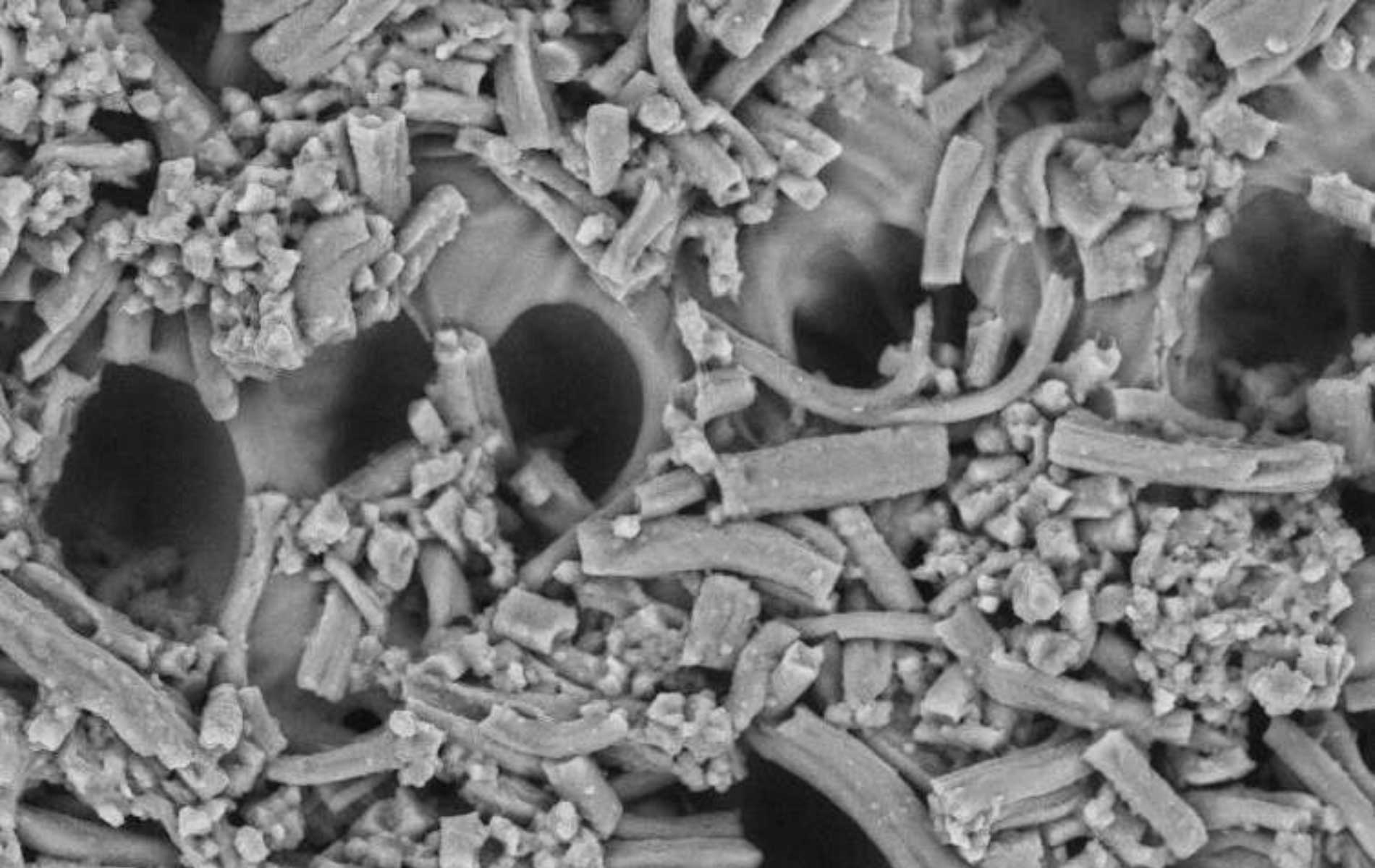 Biomimetic membrane