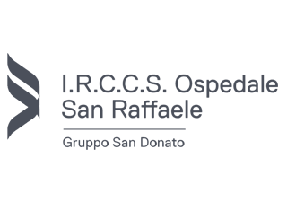 I.R.C.C.S Ospedale San Raffaele