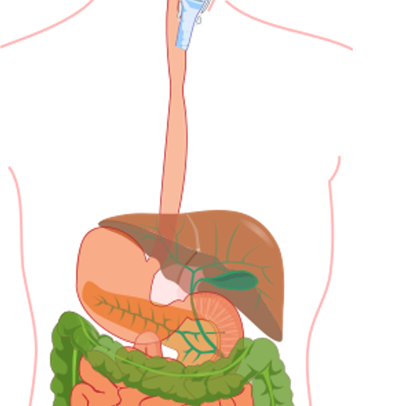 bioavailability