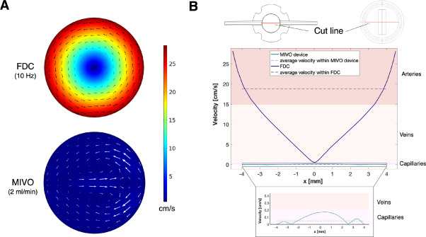 Franz Cell velocity below tissue