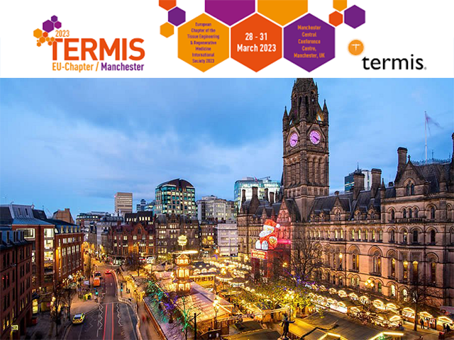 TERMIS