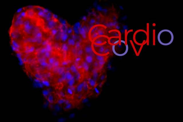 cardioCov
