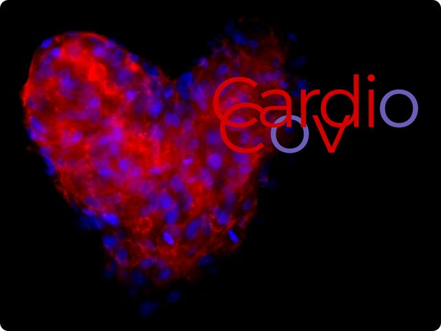 cardioCov