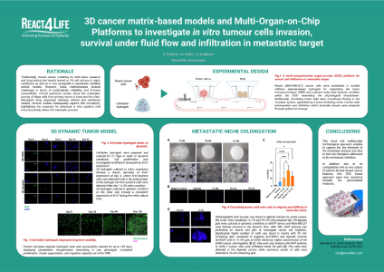 3D cancer matrix-based models and Multi-Organ-on-Chip Platforms to investigate in vitro tumour cells invasion, survival under fluid flow and infiltration in metastatic target