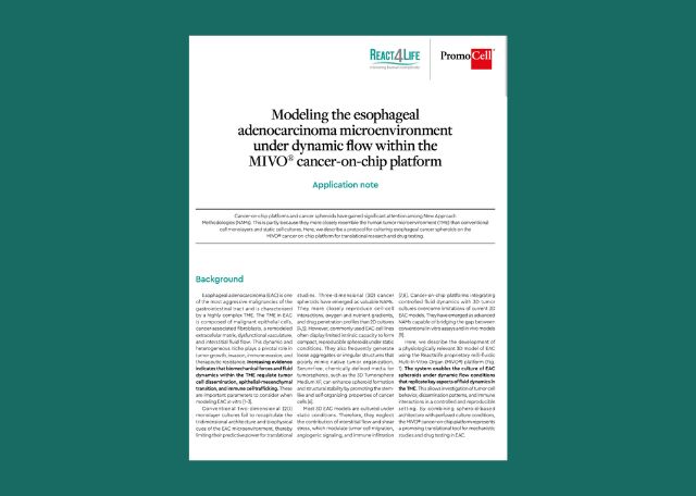 Modeling the esophageal adenocarcinoma