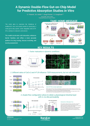 A dynamic double-flow Gut-on-chip model for predictive absorption studies in vitro