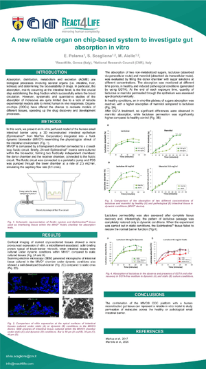 A new reliable organ on chip based system to investigate gut absorption in vitro