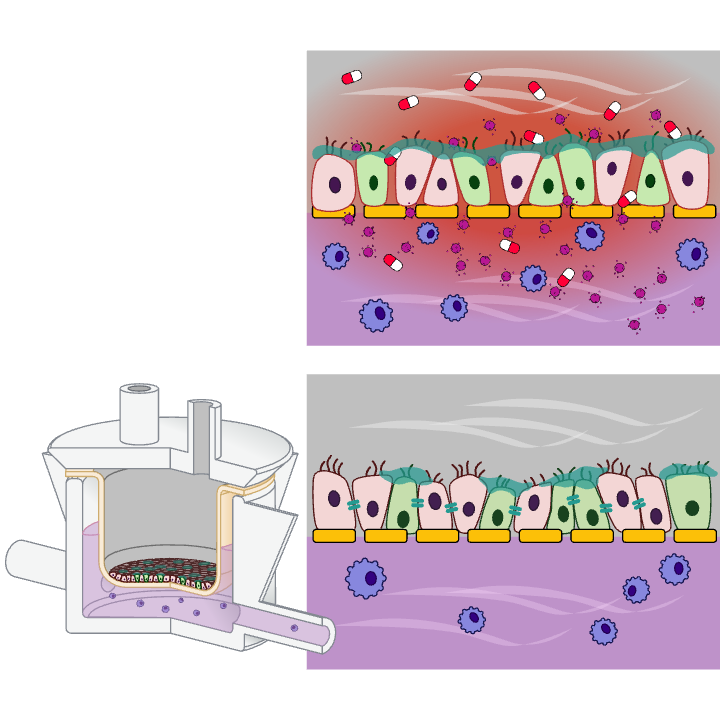 Inflammation Assay