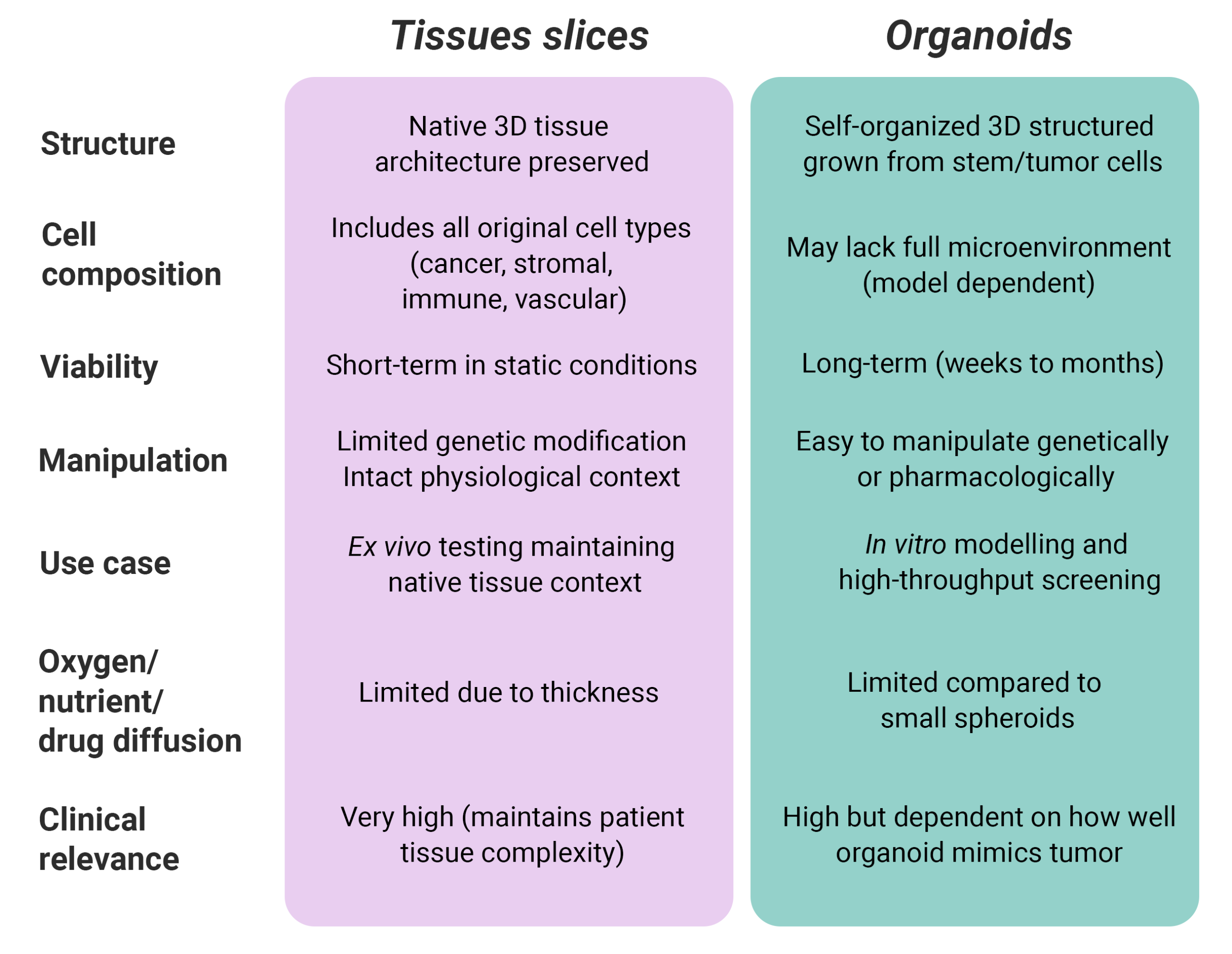 Tissue Slices organoids