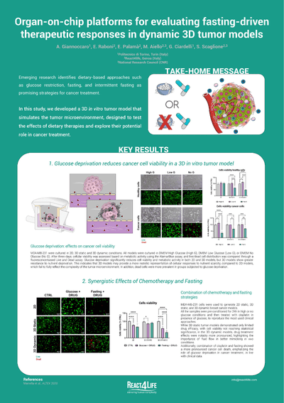 Organ-on-chip platforms for evaluating fasting-driven therapeutic responses in dynamic 3D tumor models