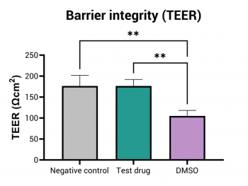 Drug Induced Toxicity Assay | React4Life