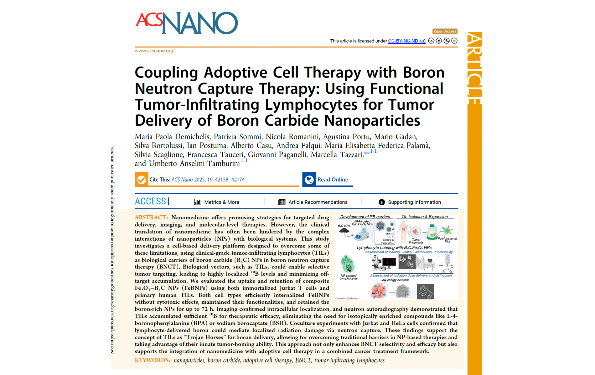 Tumor-Infiltrating Lymphocytes for Tumor Delivery of Boron Carbide Nanoparticles