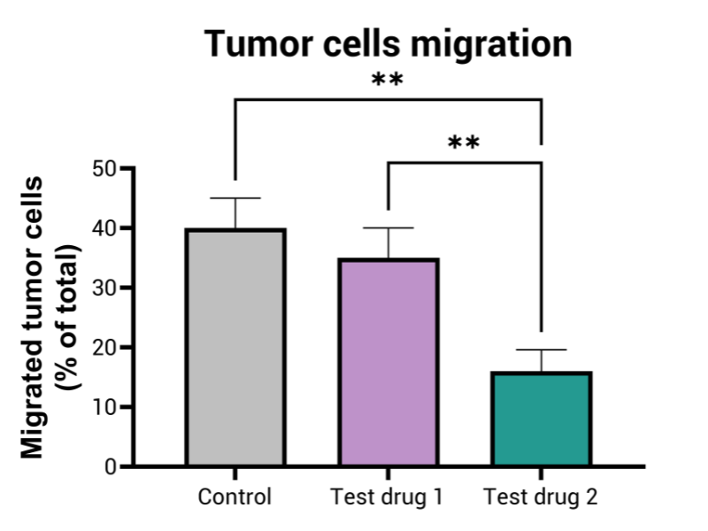 Tumor cells migration is evaluated after treatment with different anti-metastatic drugs